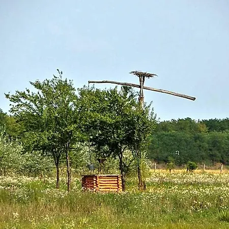 Antal-tavi és Horgászparadicsom