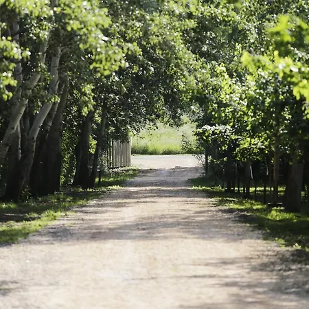 Antal-tavi Fogado Es Horgaszparadicsom